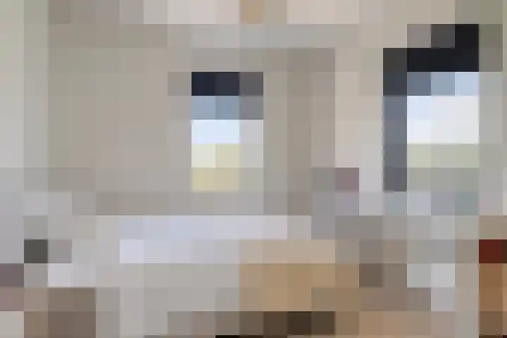 Owen Chamberlainstraat 9 Almere thumbnail 26