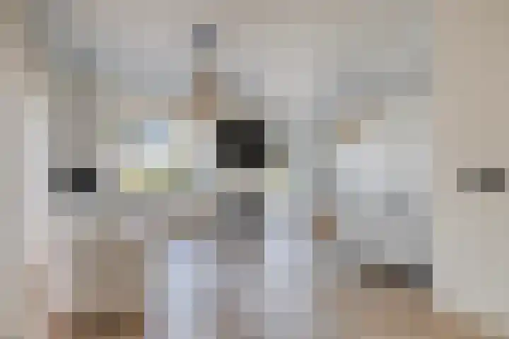 Owen Chamberlainstraat 9 Almere thumbnail 9