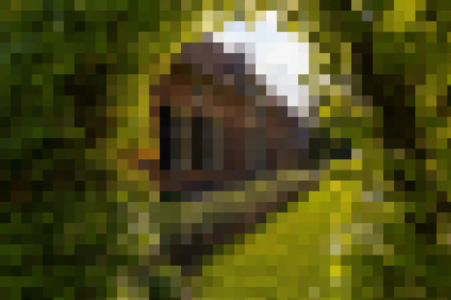 Oxersteeg 37 Deventer thumbnail 42