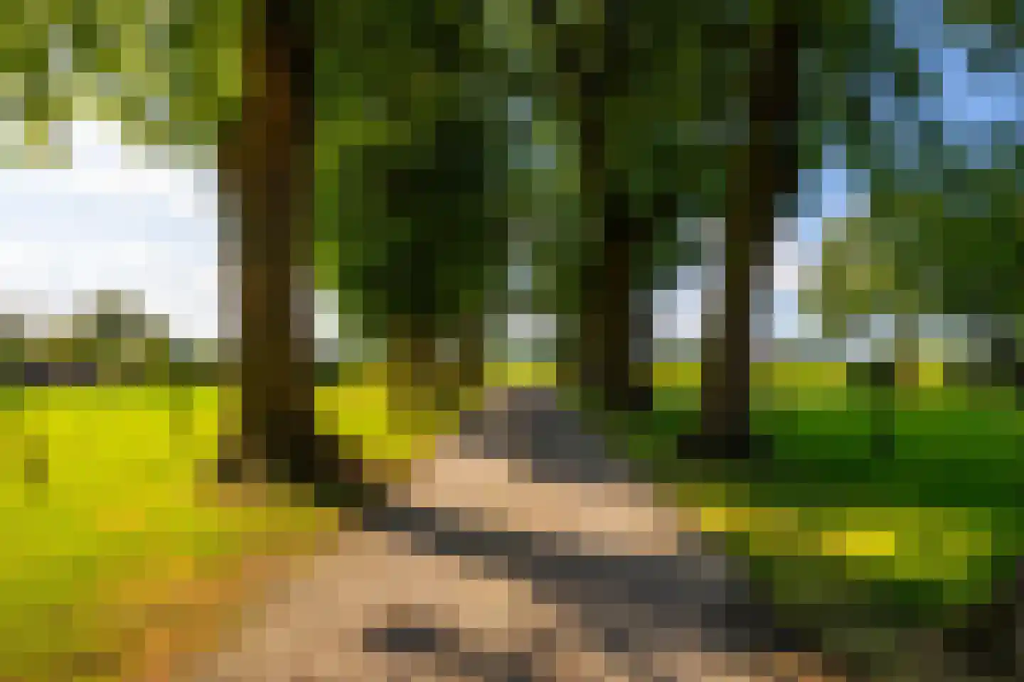 Oxersteeg 37 Deventer thumbnail 44