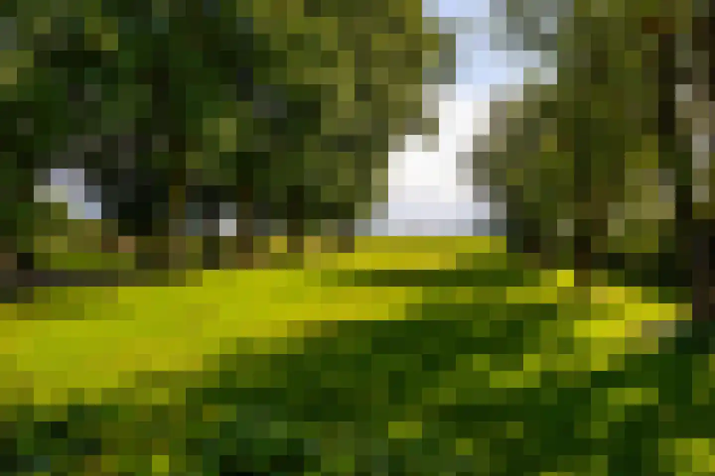 Oxersteeg 37 Deventer thumbnail 46