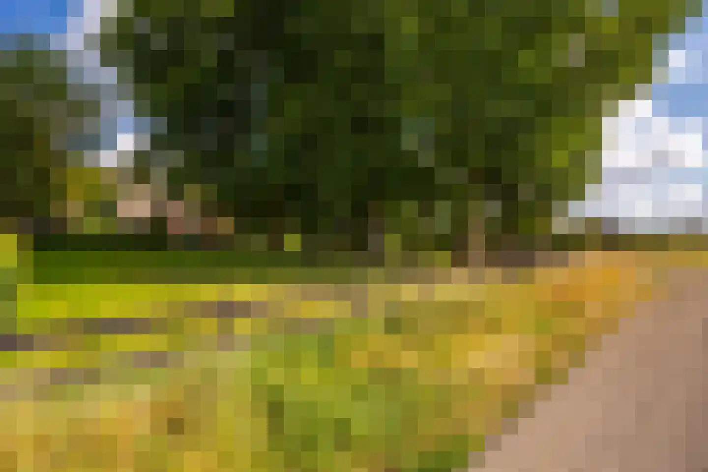 Oxersteeg 37 Deventer thumbnail 48