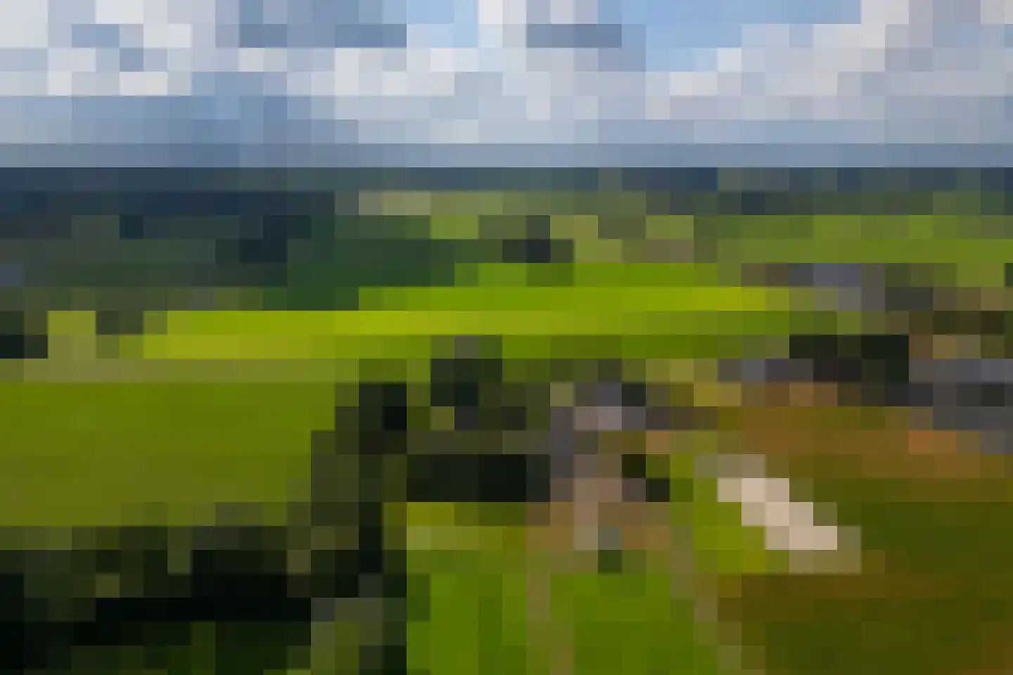 Oxersteeg 37 Deventer thumbnail 49