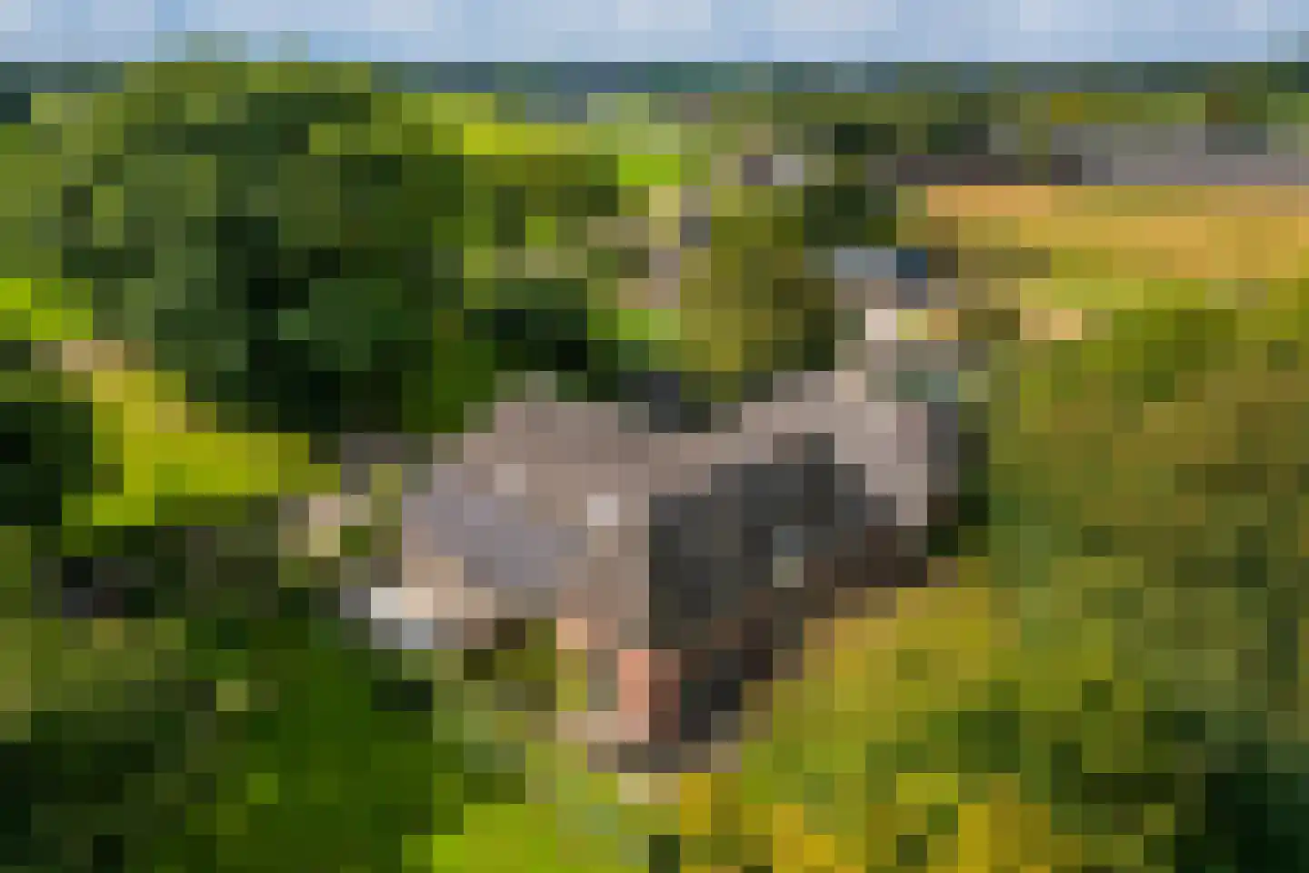 Oxersteeg 37 Deventer thumbnail 51