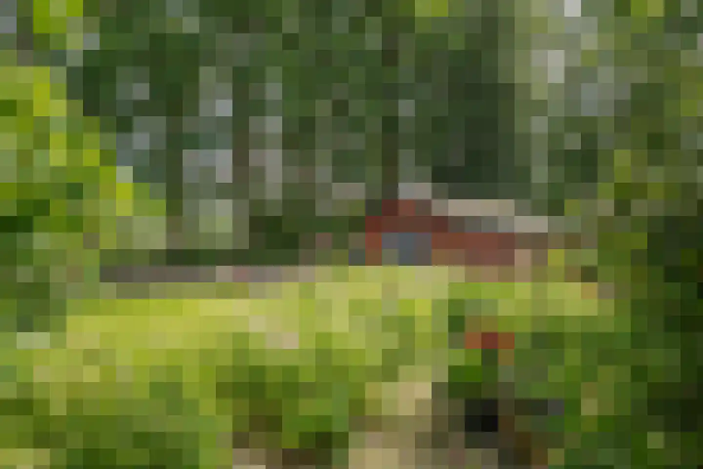 Oxerweg 1 Epse thumbnail 10