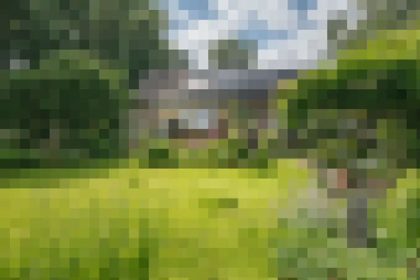 Oxerweg 1 Epse thumbnail 11