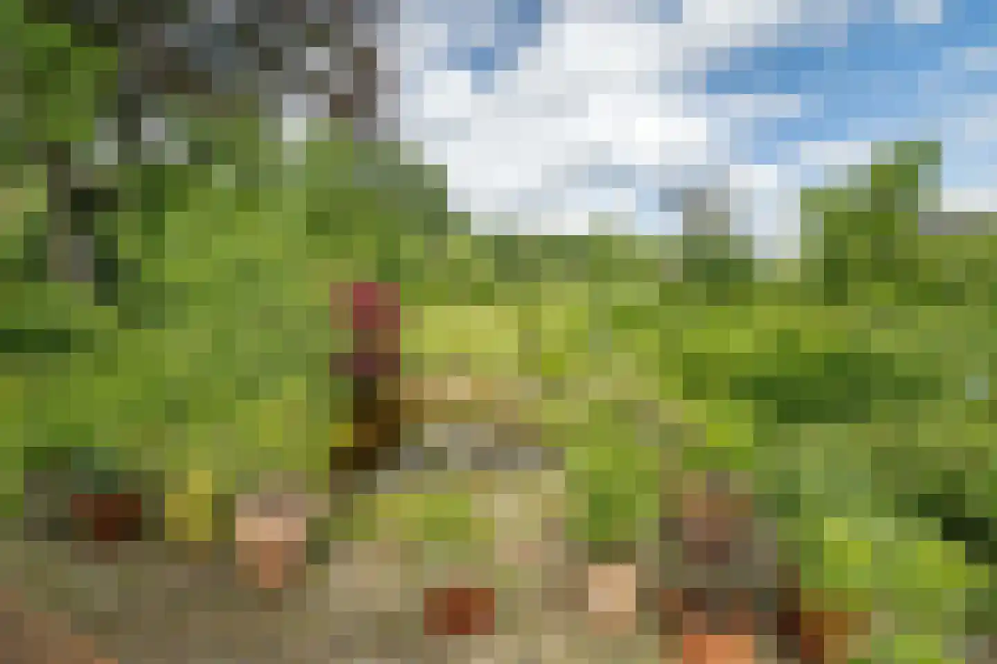 Oxerweg 1 Epse thumbnail 15