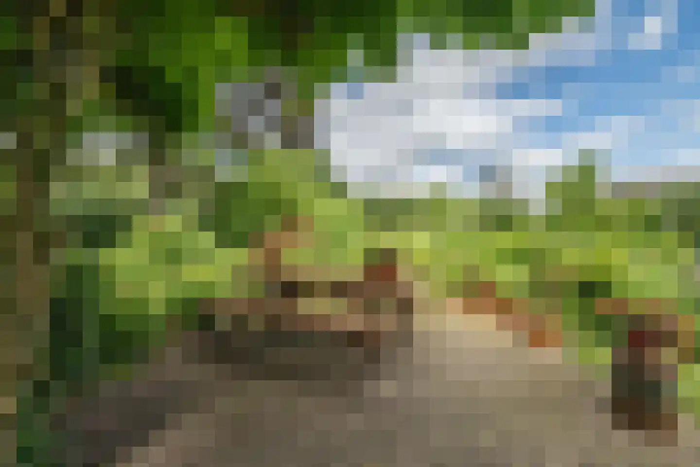 Oxerweg 1 Epse thumbnail 16
