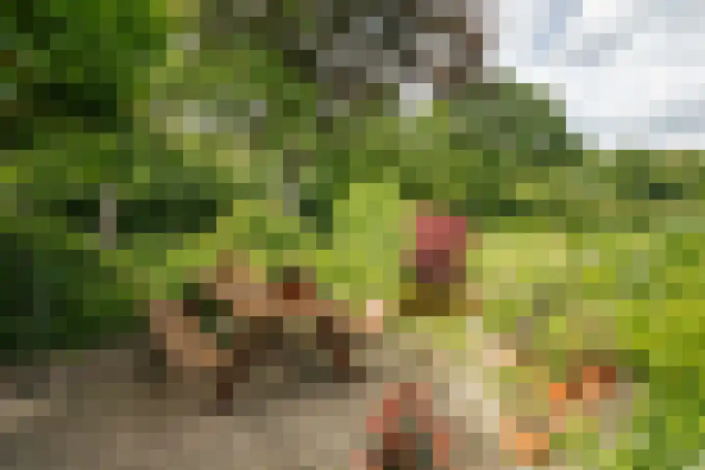 Oxerweg 1 Epse thumbnail 17