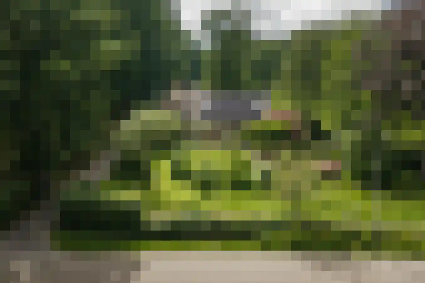 Oxerweg 1 Epse thumbnail 19