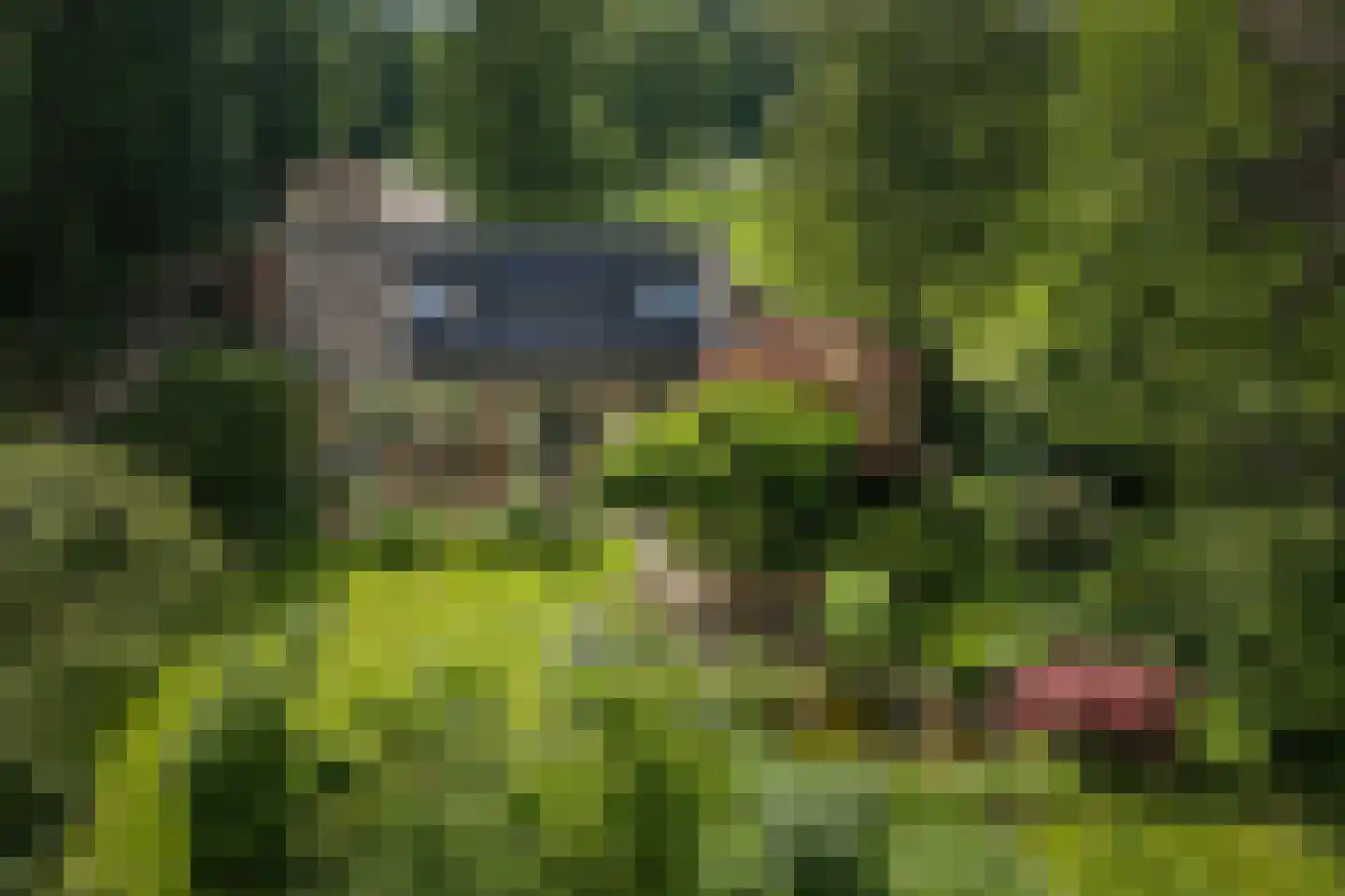 Oxerweg 1 Epse thumbnail 20