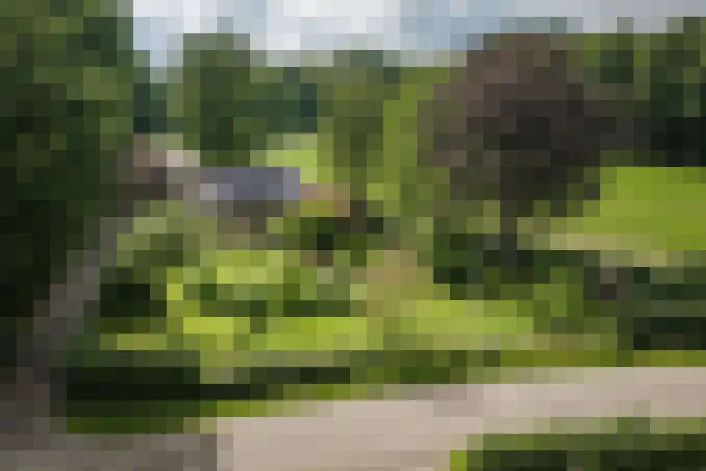 Oxerweg 1 Epse thumbnail 22
