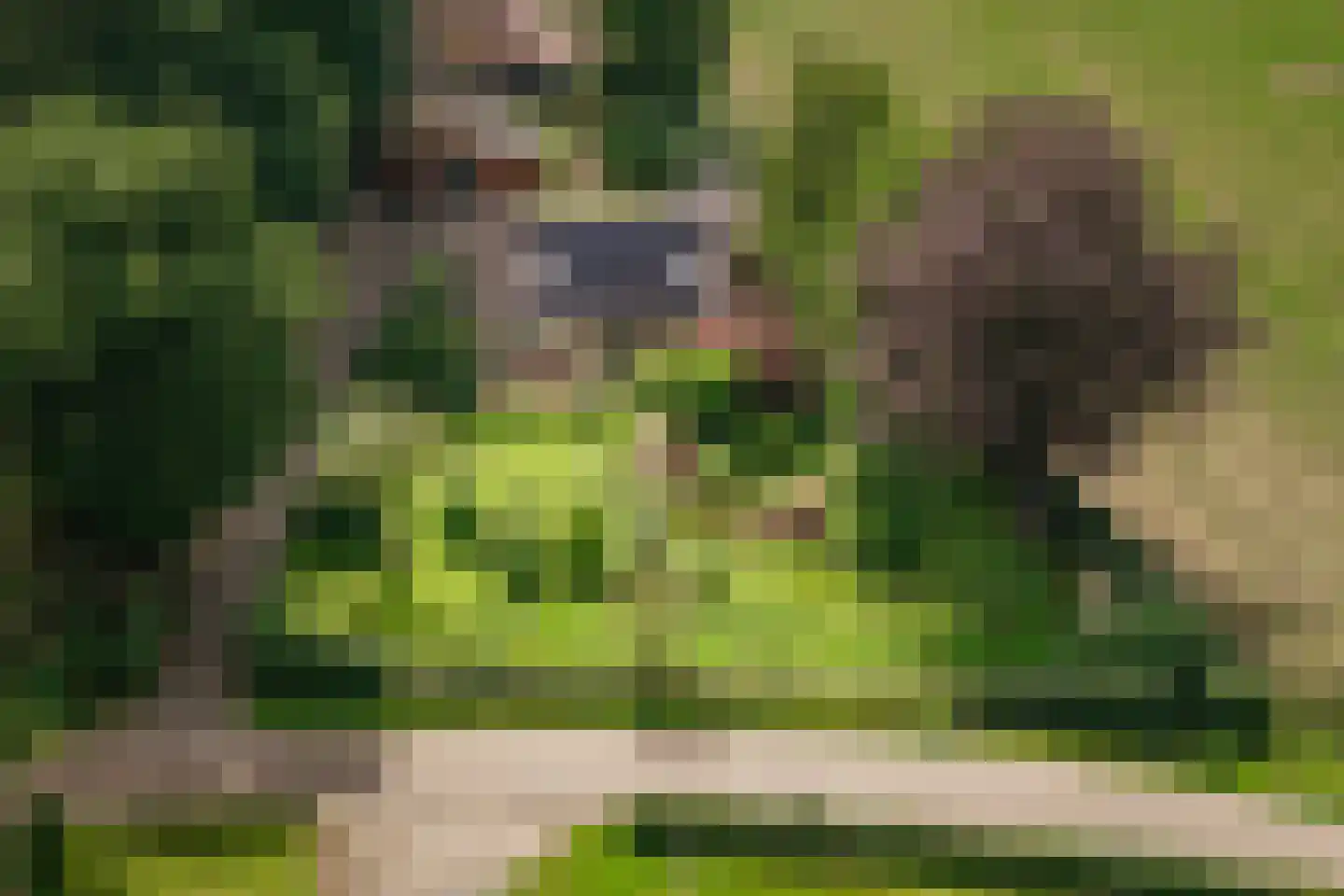 Oxerweg 1 Epse thumbnail 23