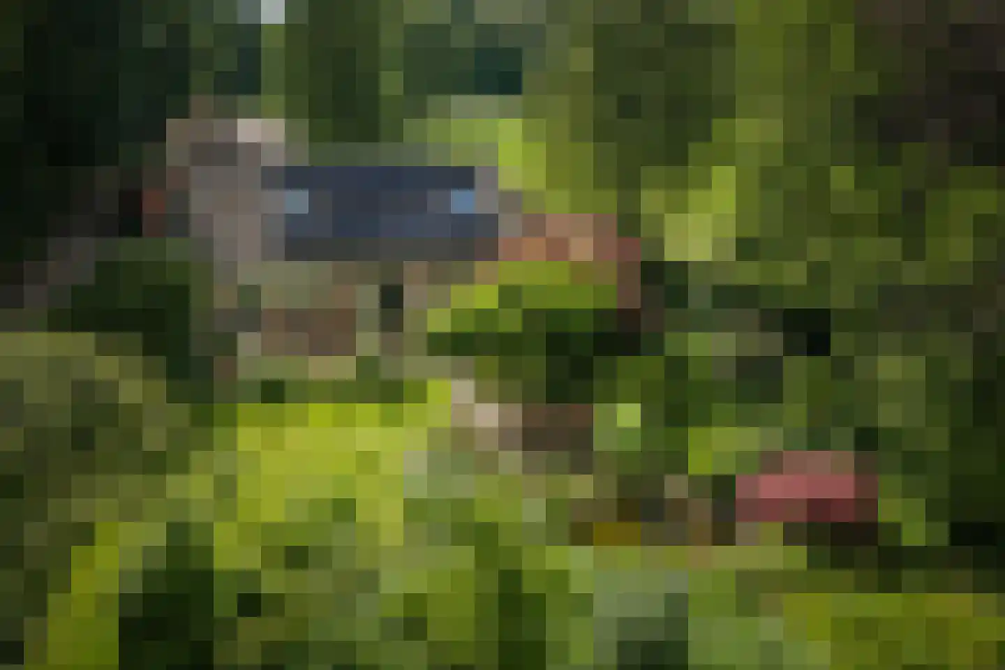 Oxerweg 1 Epse thumbnail 24