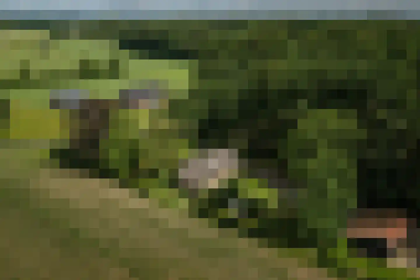 Oxerweg 1 Epse thumbnail 25