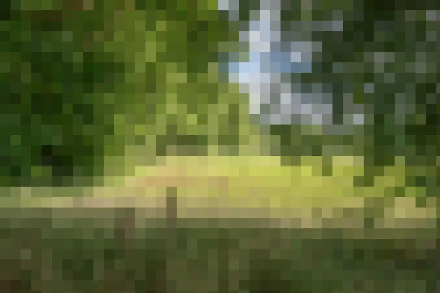 Oxerweg 1 Epse thumbnail 26