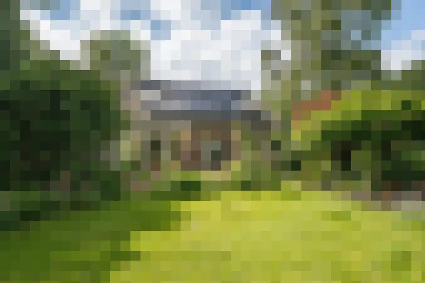 Oxerweg 1 Epse foto 3