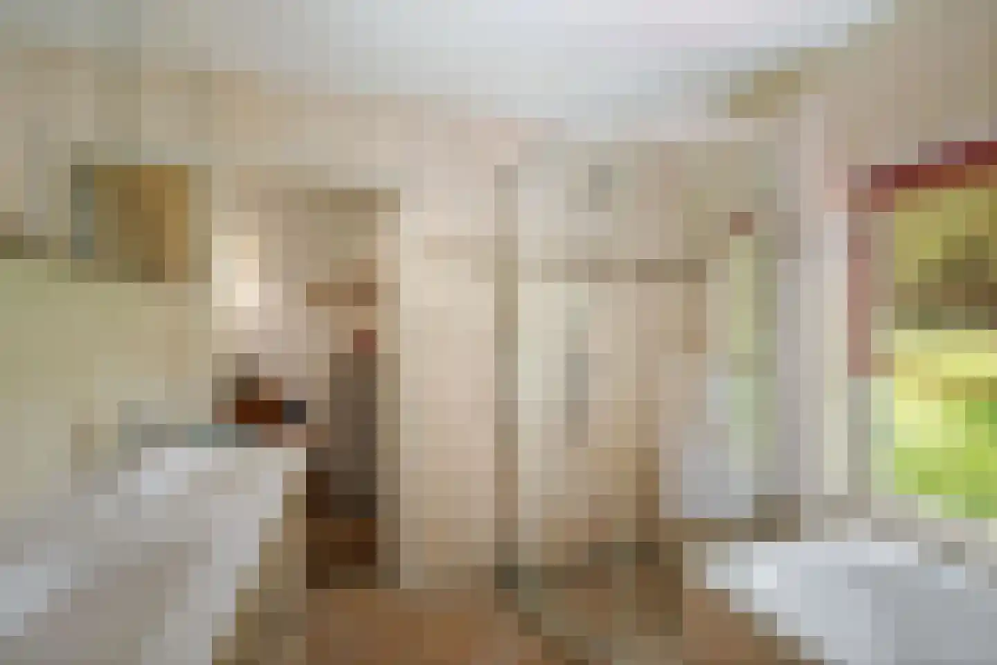 Oxerweg 1 Epse thumbnail 42