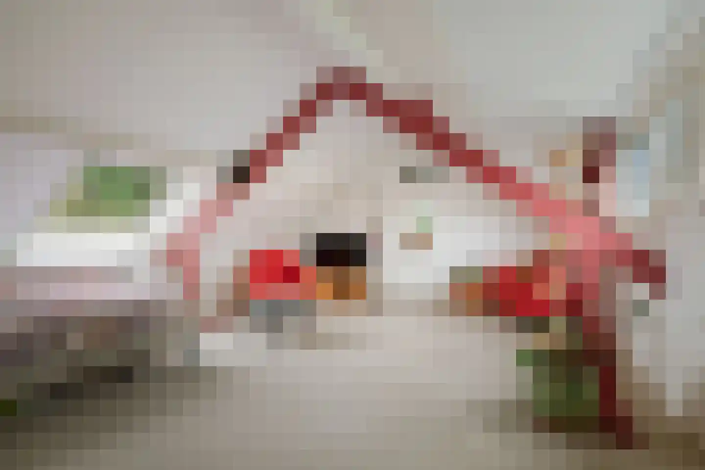 Oxerweg 1 Epse thumbnail 47