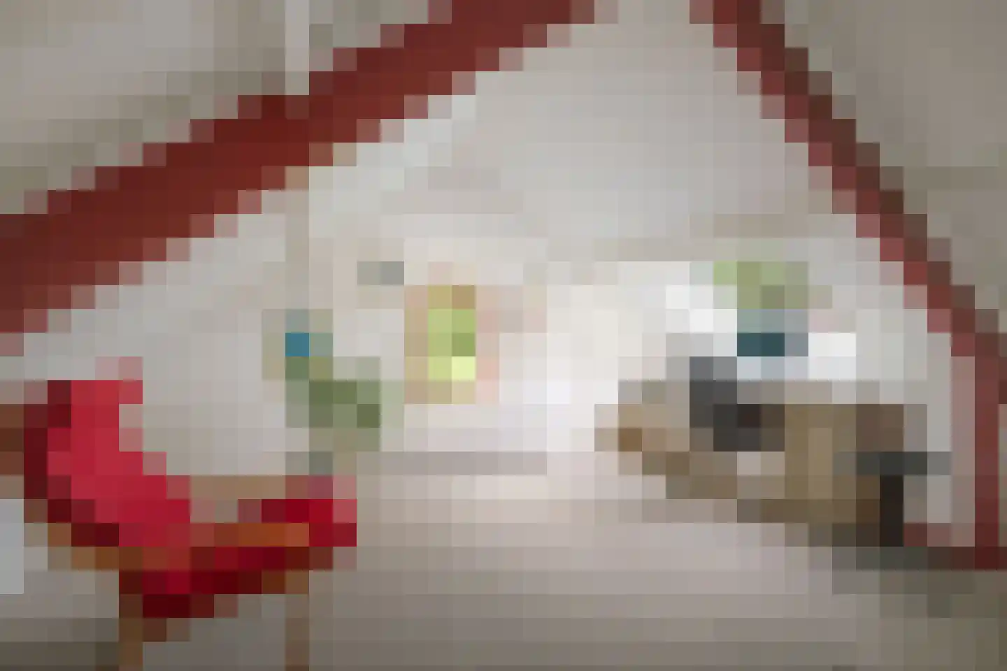 Oxerweg 1 Epse thumbnail 49