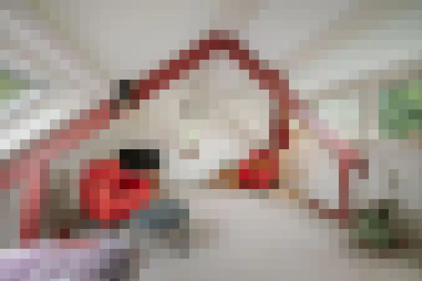 Oxerweg 1 Epse thumbnail 51