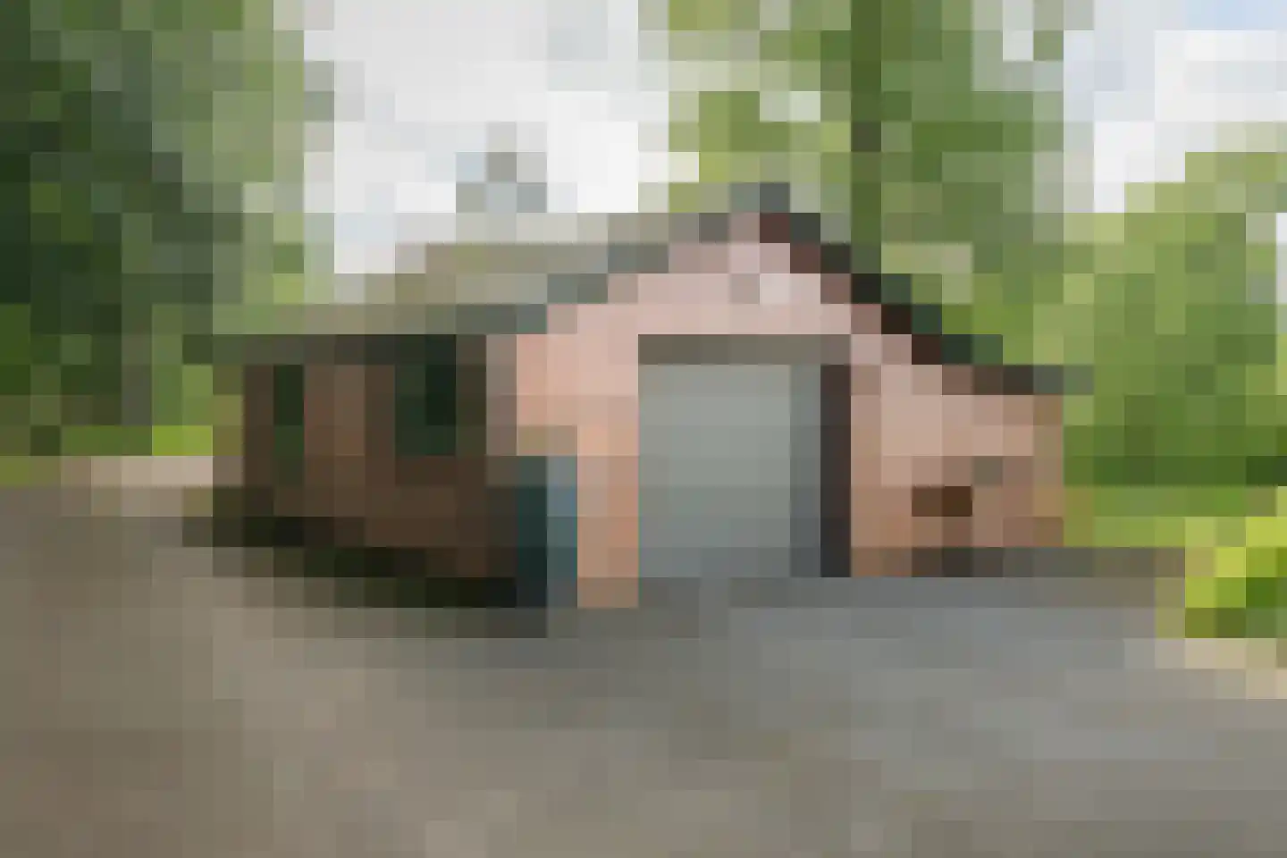 Oxerweg 1 Epse thumbnail 53
