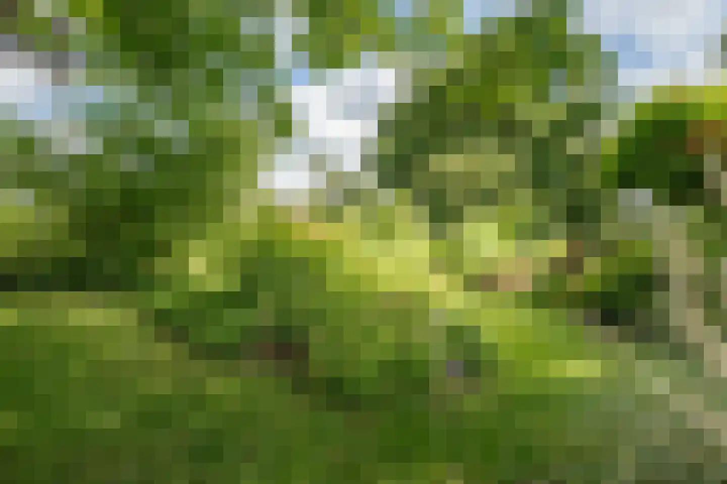 Oxerweg 1 Epse thumbnail 55