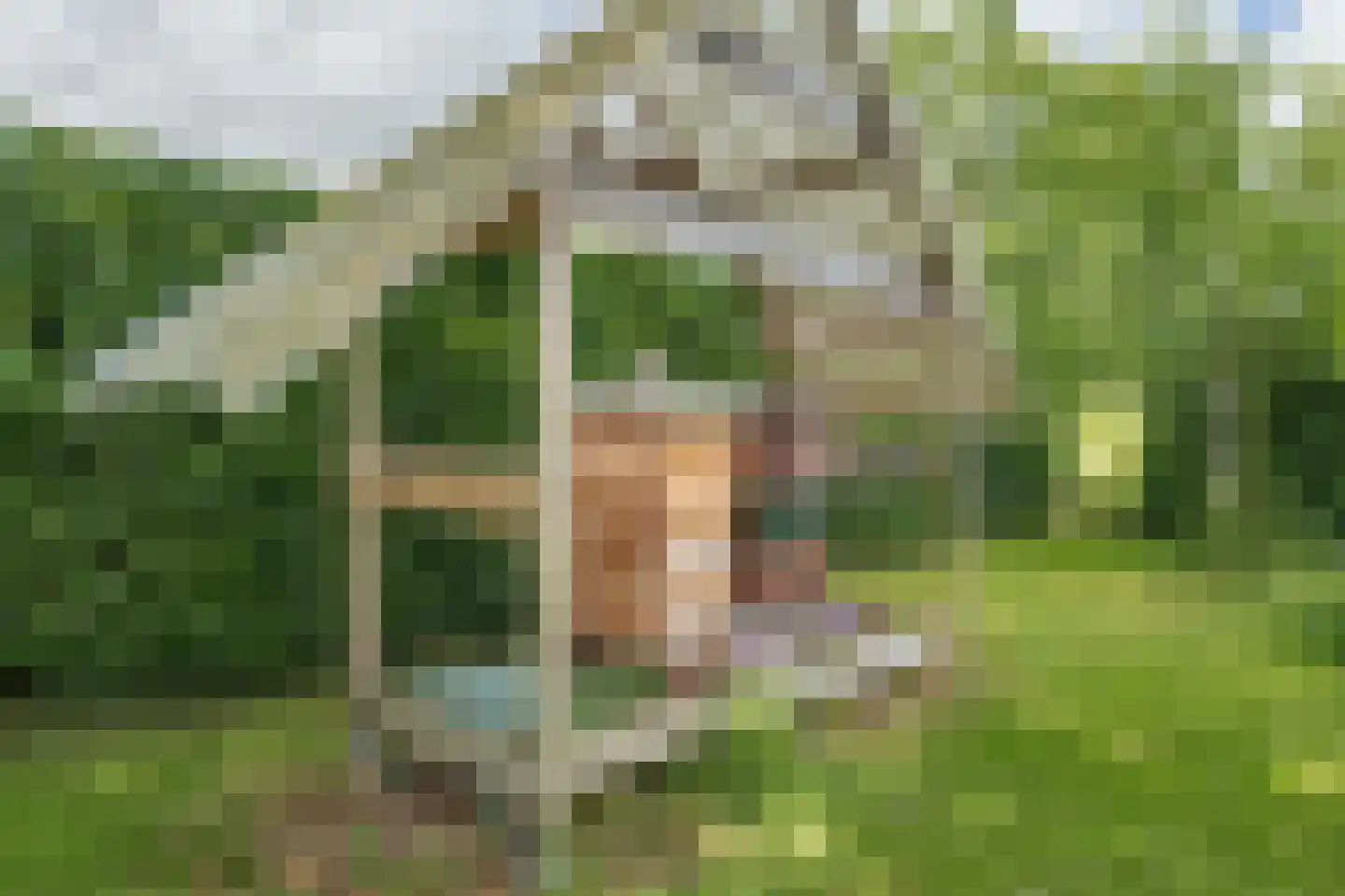 Oxerweg 1 Epse thumbnail 56