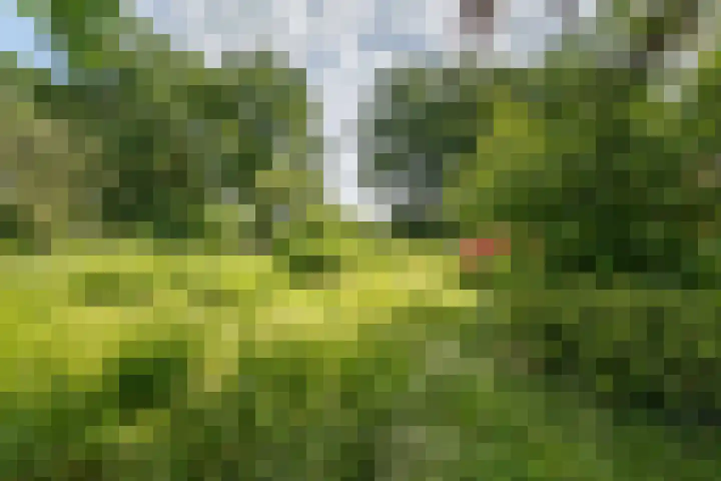 Oxerweg 1 Epse thumbnail 57