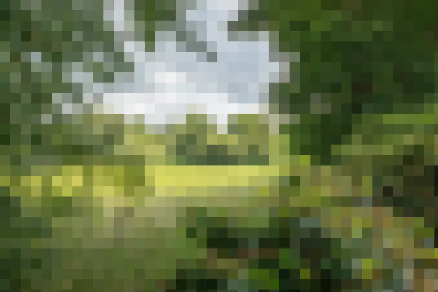 Oxerweg 1 Epse thumbnail 60