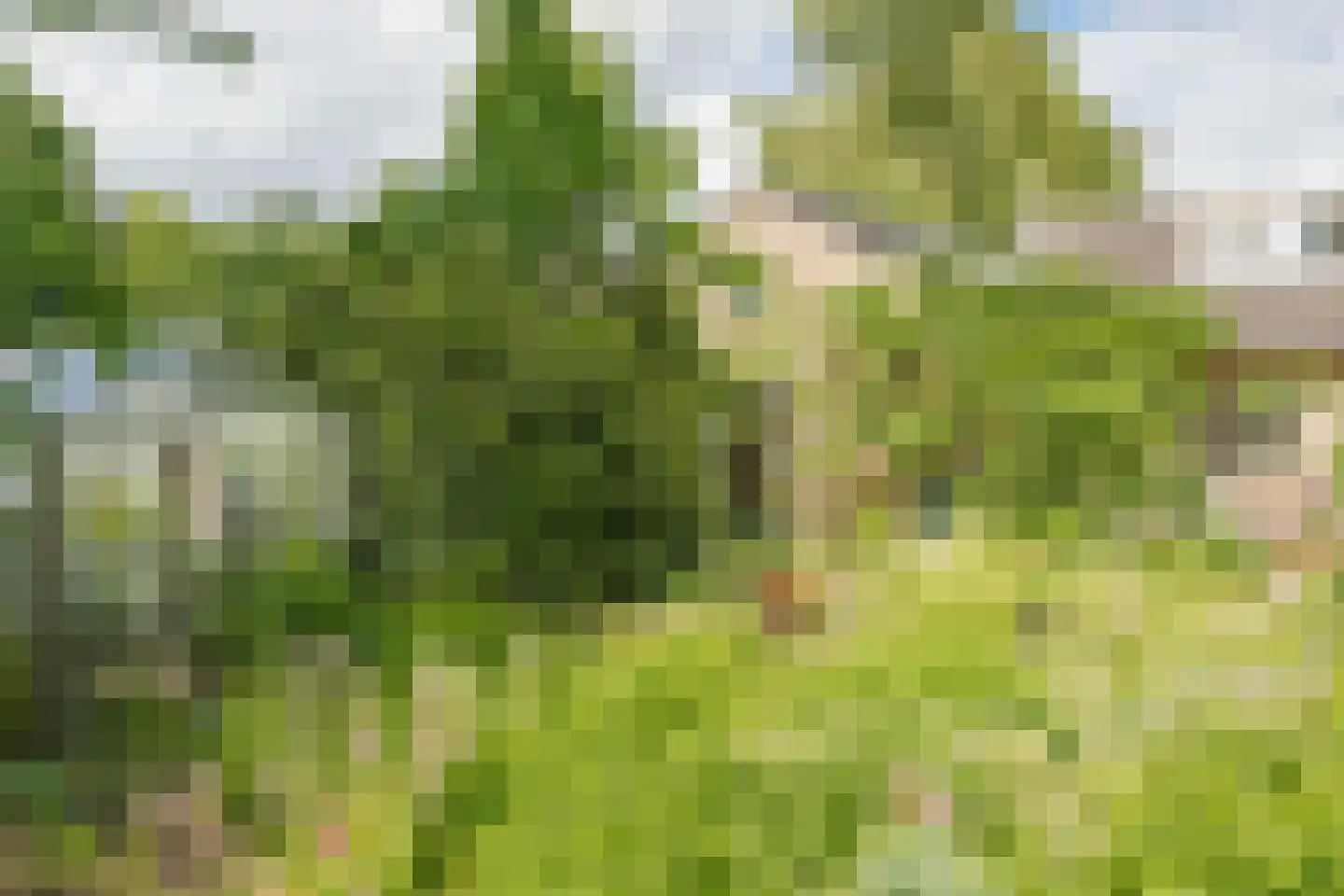 Oxerweg 1 Epse thumbnail 61