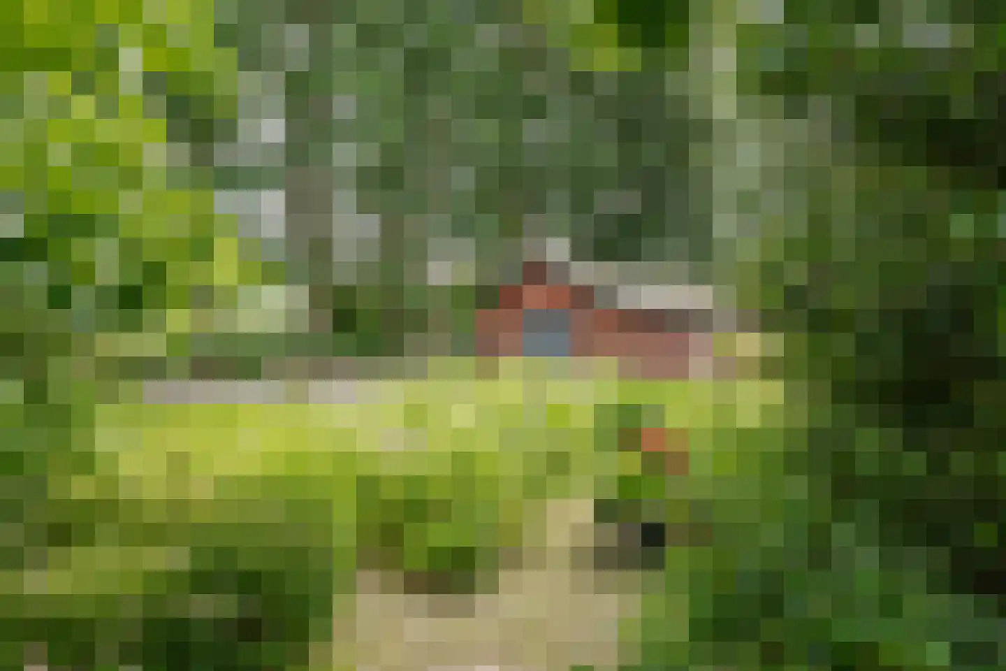 Oxerweg 1 Epse thumbnail 63
