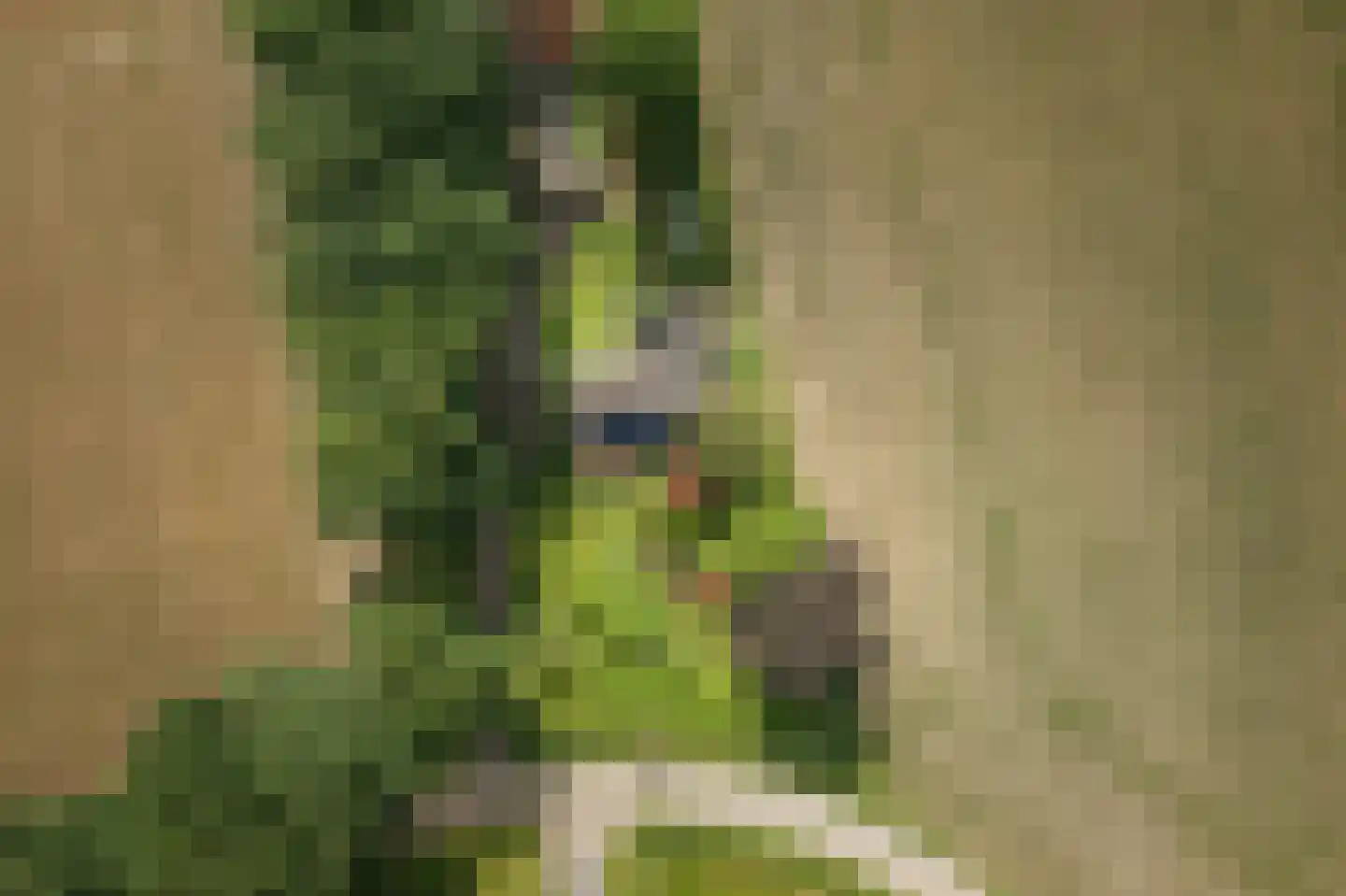 Oxerweg 1 Epse thumbnail 64
