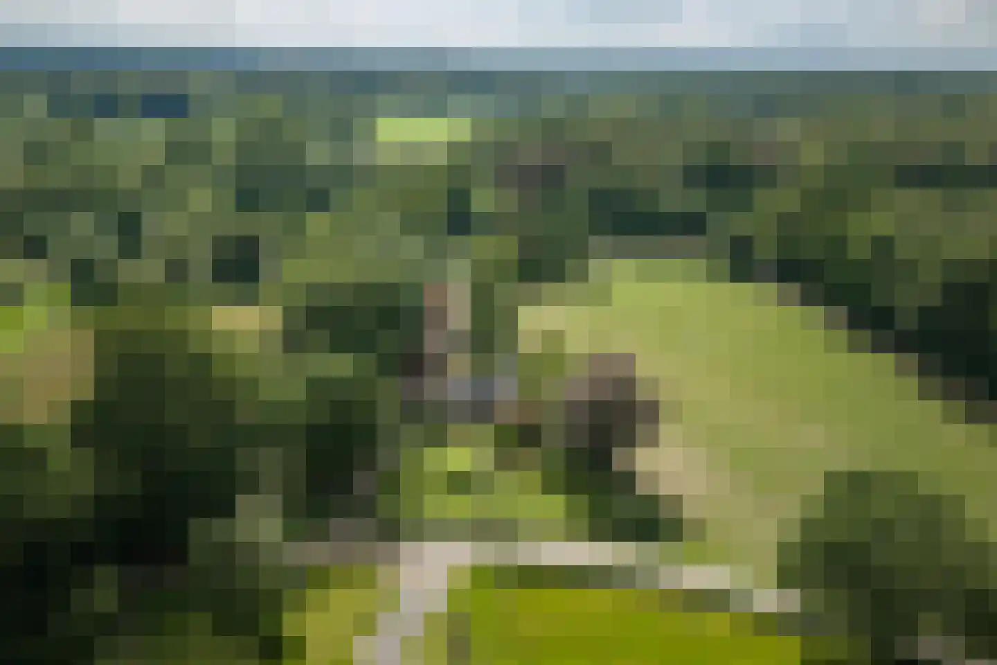 Oxerweg 1 Epse thumbnail 66
