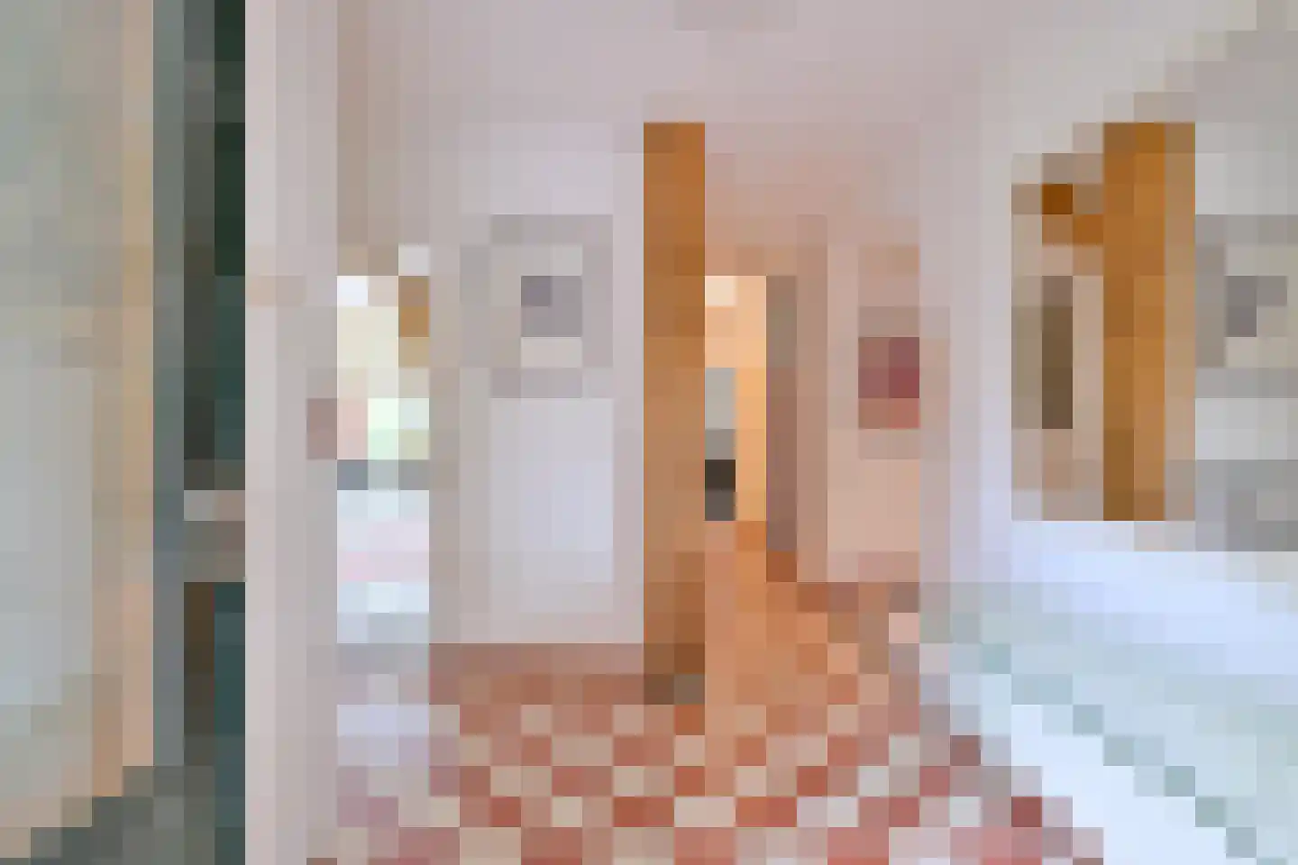Oxerweg 22 Epse thumbnail 10