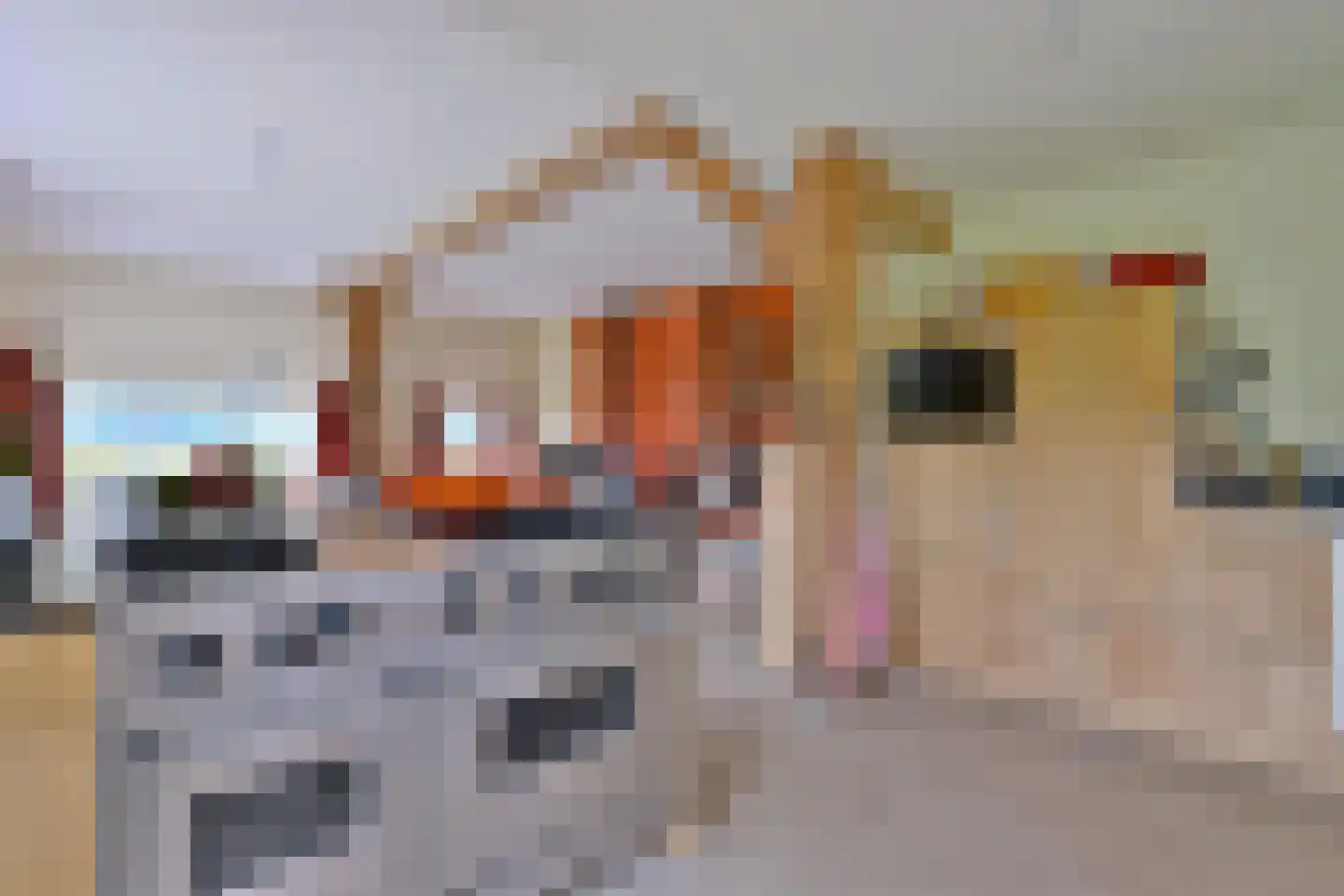 Oxerweg 22 Epse thumbnail 17