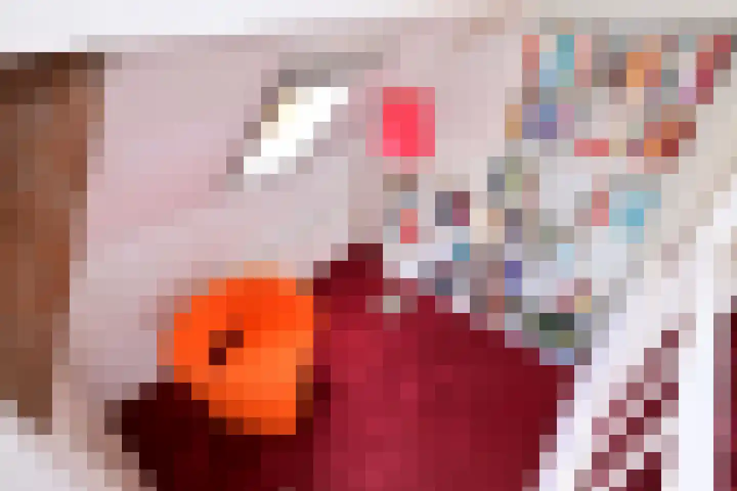 Oxerweg 22 Epse thumbnail 32