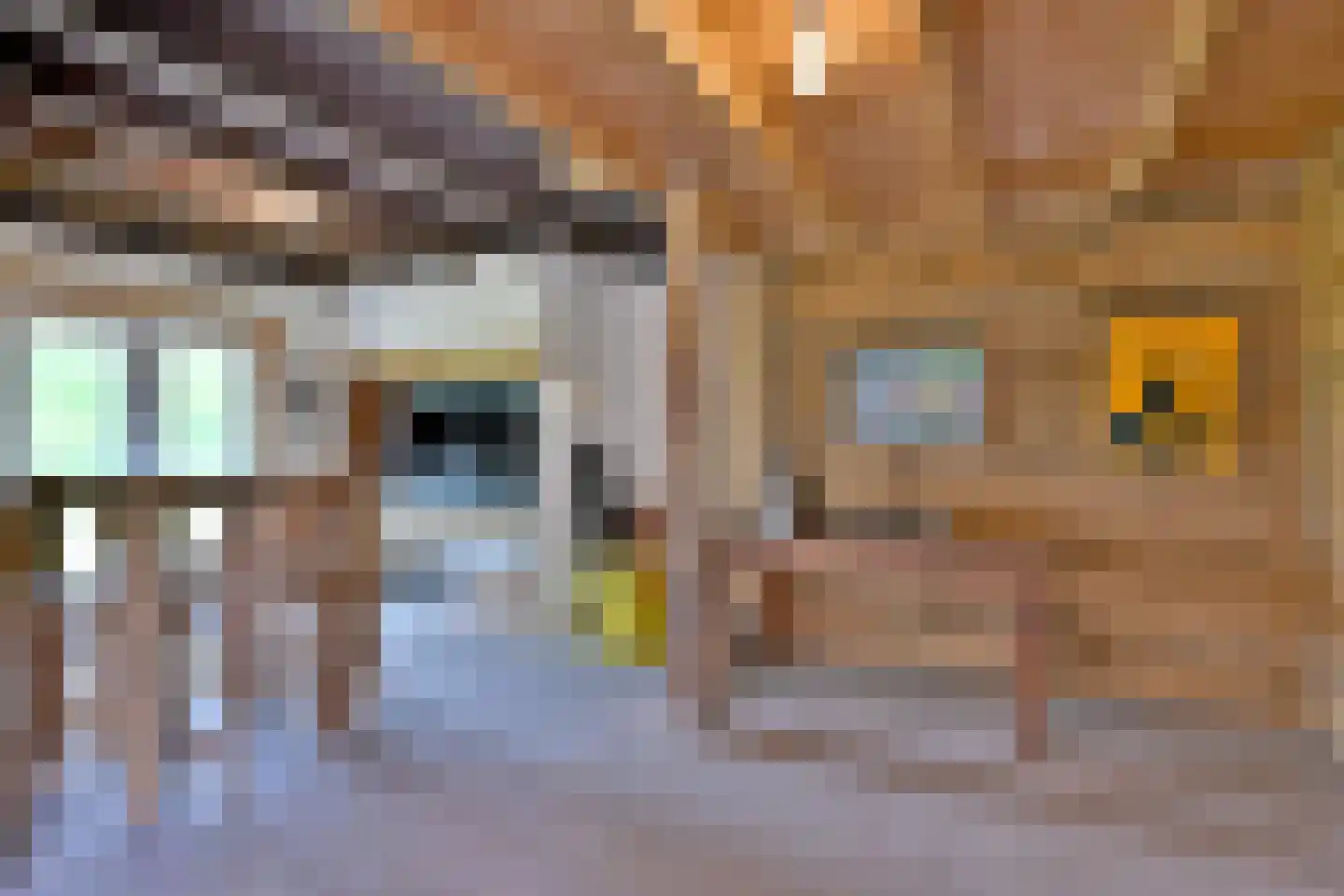 Oxerweg 22 Epse thumbnail 39