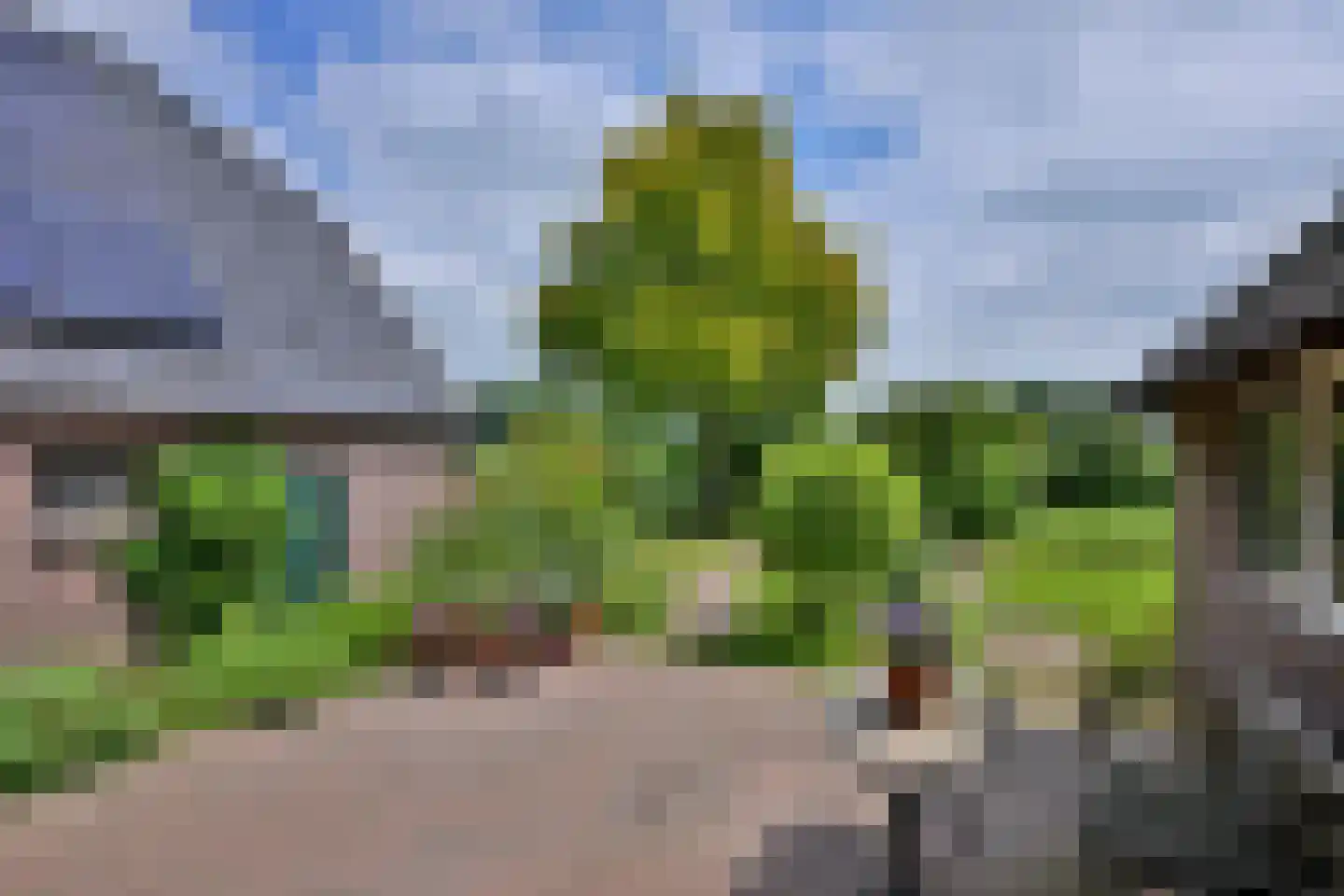 Oxerweg 22 Epse thumbnail 41