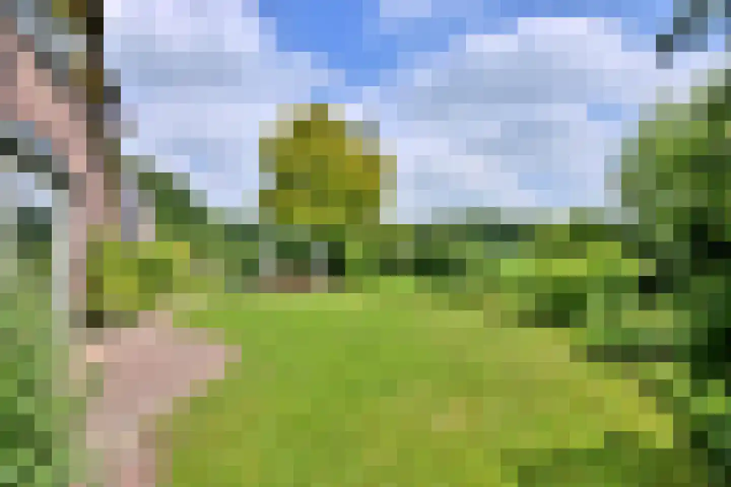 Oxerweg 22 Epse thumbnail 45