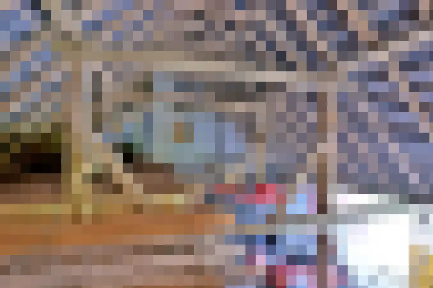 Oxerweg 22 Epse thumbnail 48