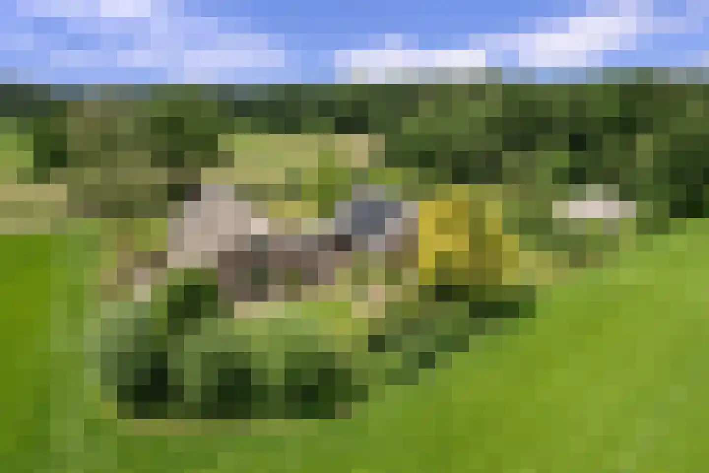Oxerweg 22 Epse thumbnail 5