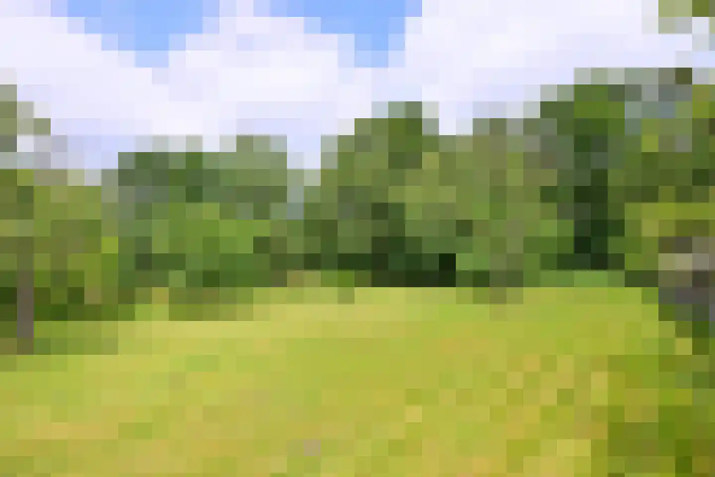 Oxerweg 22 Epse thumbnail 50