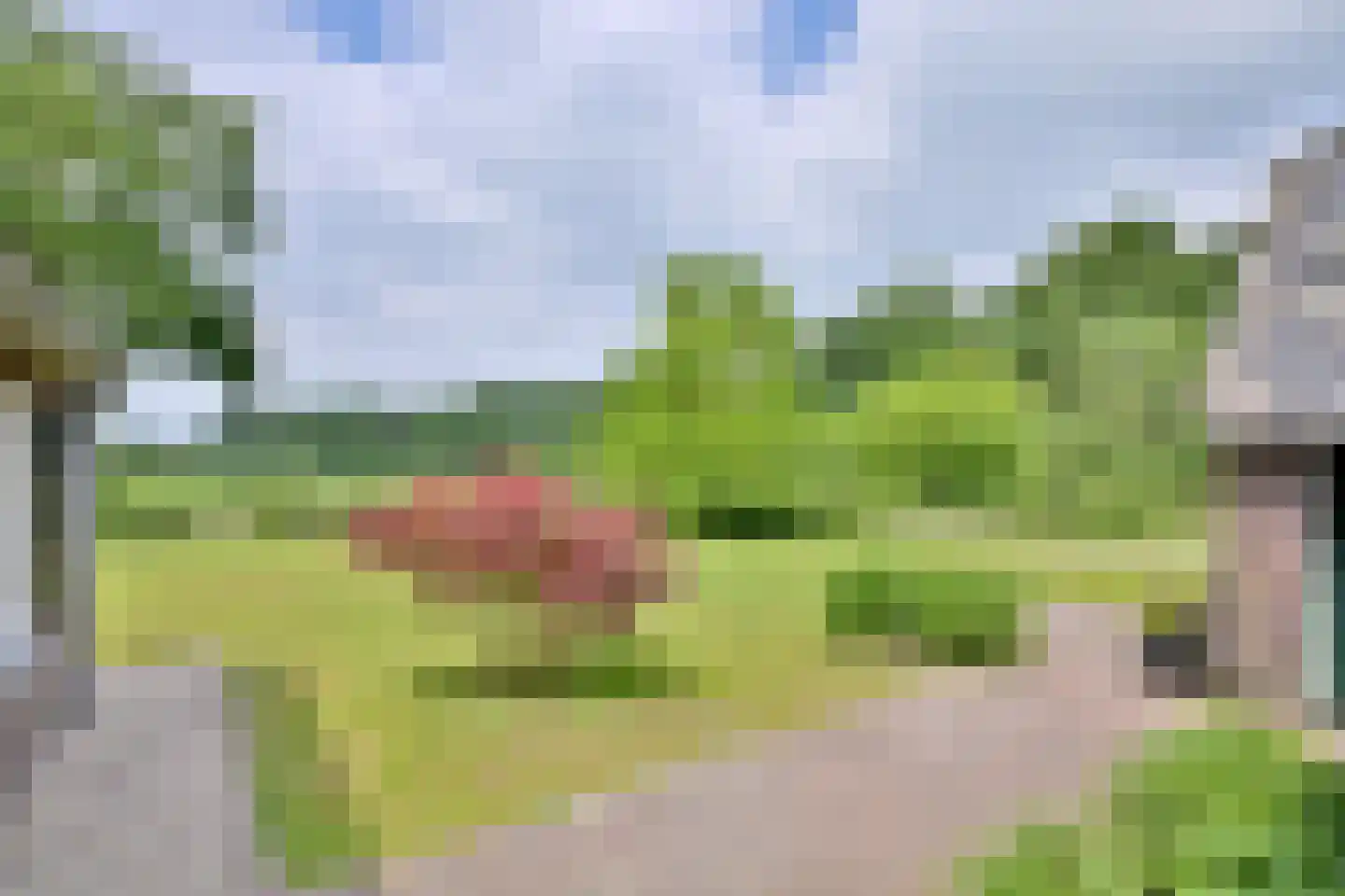 Oxerweg 22 Epse thumbnail 51