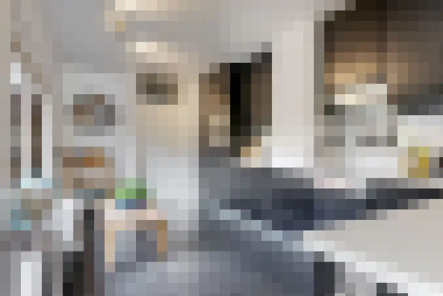 Oxfordlaan 1 Leiden thumbnail 11
