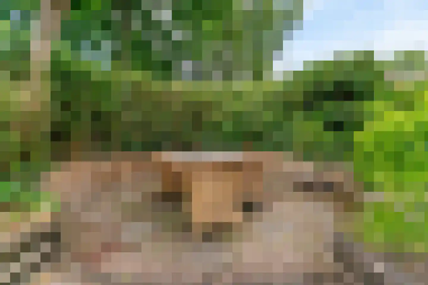 Oxfordlaan 1 Leiden thumbnail 35