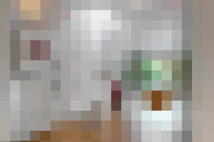 Oxfordlaan 15 Leiden thumbnail 17