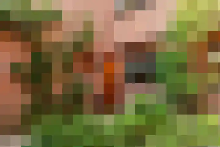 Oxfordlaan 15 Leiden thumbnail 7