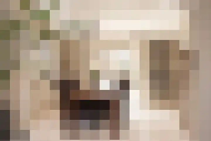 Oxfordstraat 8 Hengelo thumbnail 17