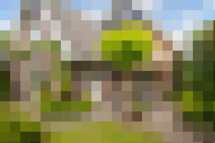 Oxfordstraat 8 Hengelo thumbnail 33